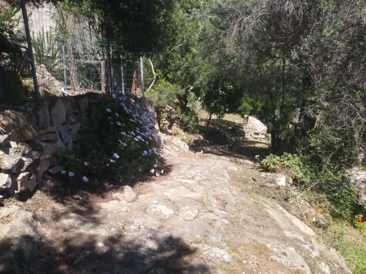 Ca Da Marta Q4526 Villa Carloforte  Bagian luar foto